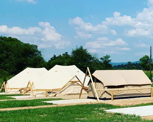 Cort de glamping pe pajiștea resortului, cu pădurea în spate